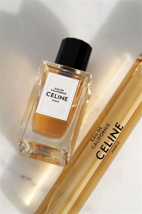 celine fishnet top|Celine perfume.